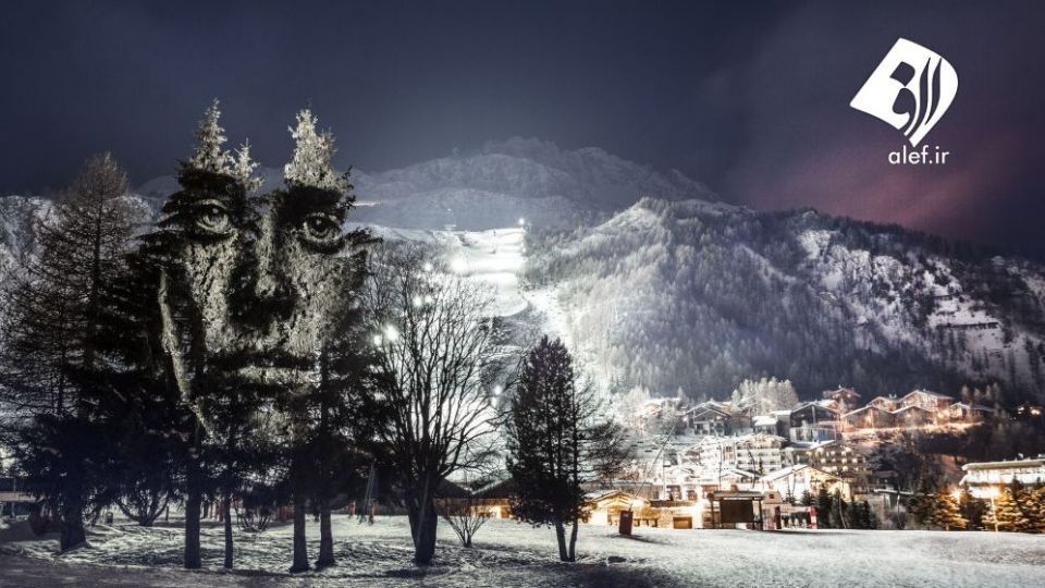 چهره پردازی با نور بر روی درختان خیابانی در آمازون