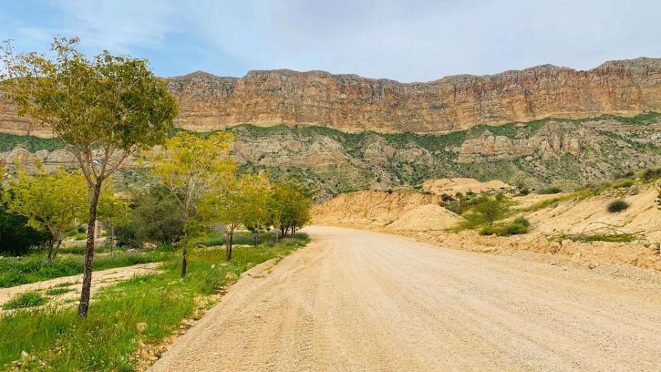 طبیعت زیبا و سرسبز بهاری شهرستان جم