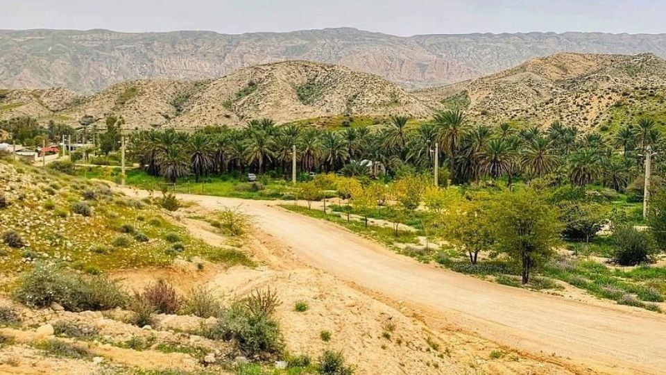 طبیعت زیبا و سرسبز بهاری شهرستان جم
