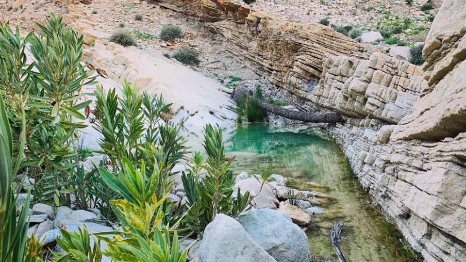 طبیعت زیبا و سرسبز بهاری شهرستان جم