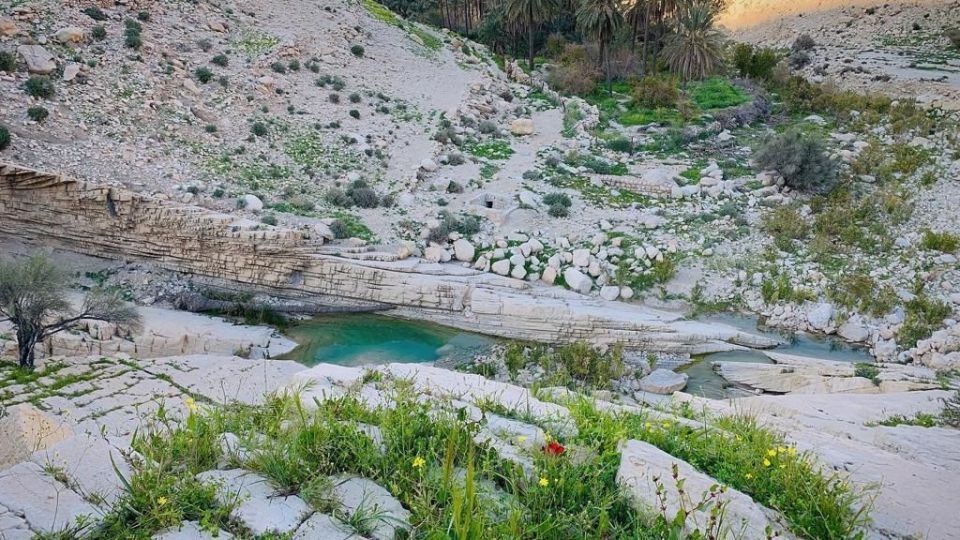 طبیعت زیبا و سرسبز بهاری شهرستان جم