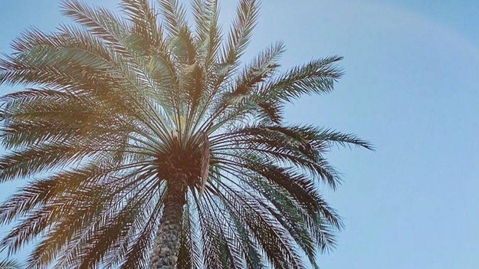 طبیعت زیبا و سرسبز بهاری شهرستان جم