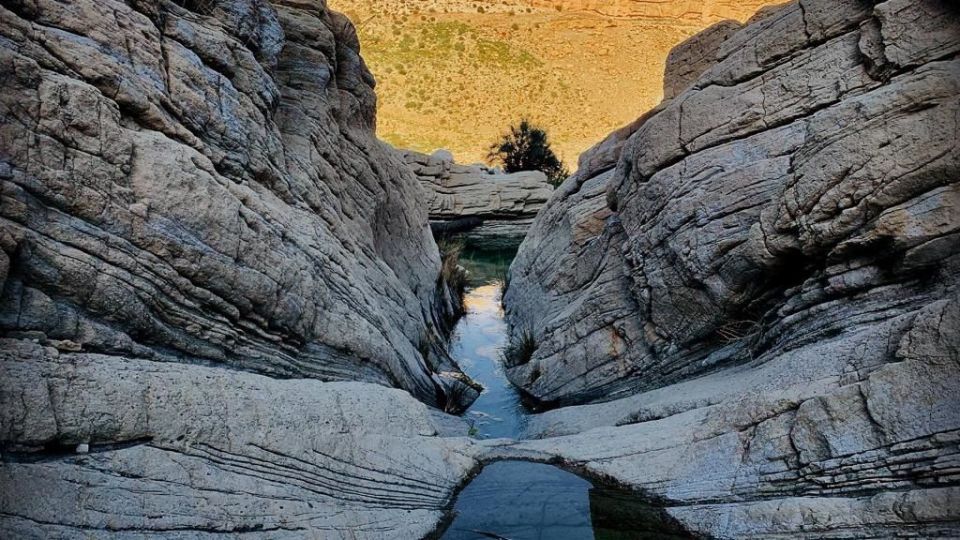 طبیعت زیبا و سرسبز بهاری شهرستان جم