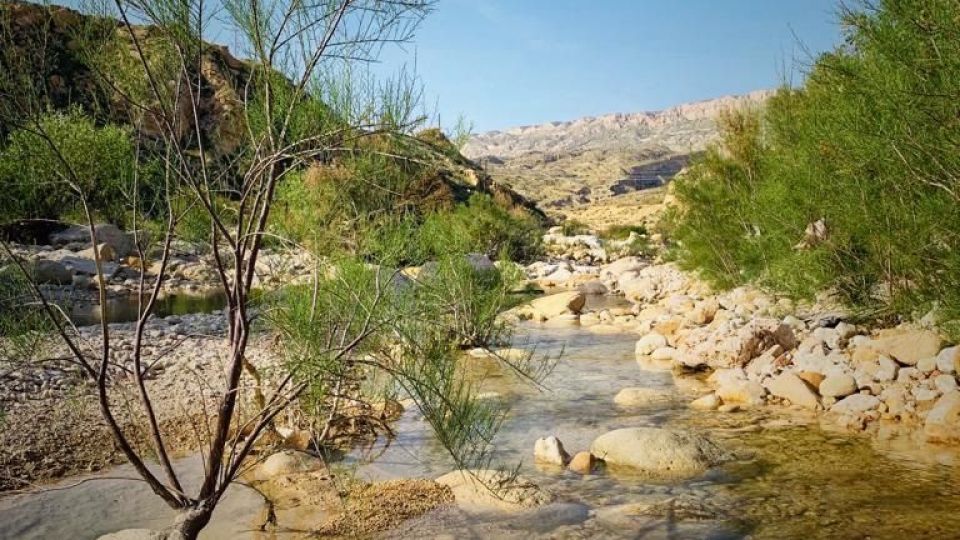 طبیعت زیبا و سرسبز بهاری شهرستان جم