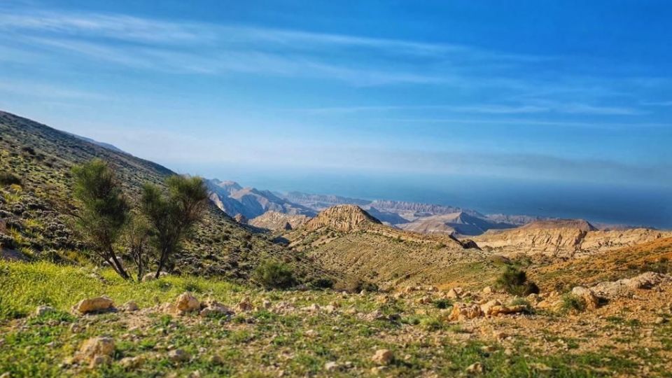 طبیعت زیبا و سرسبز بهاری شهرستان جم