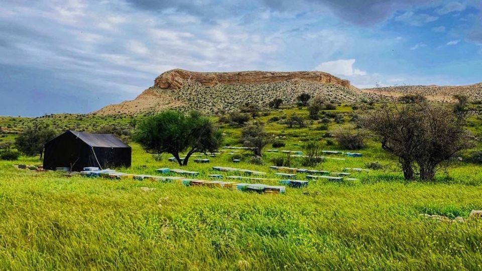طبیعت زیبا و سرسبز بهاری شهرستان جم