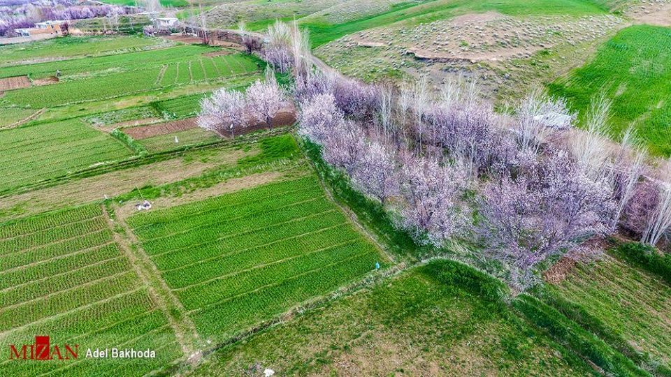  چهره‌ی زیبای بهار در همدان