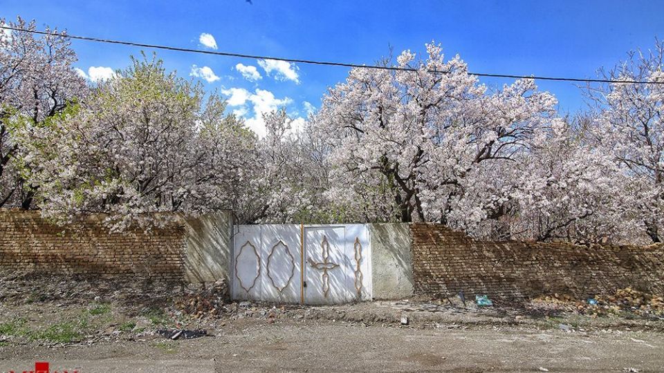  چهره‌ی زیبای بهار در همدان