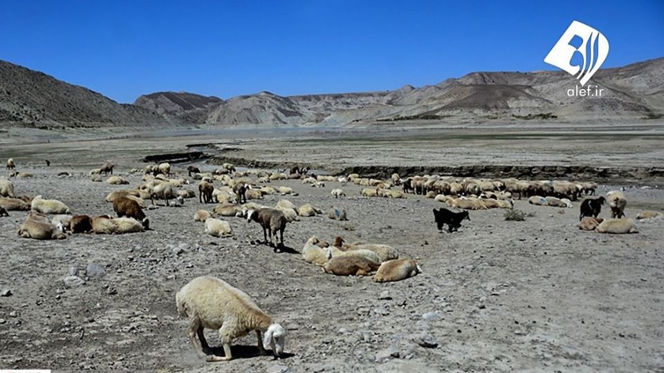 سد بارزو شیروان؛ از کم‌آبی تا پرآبی