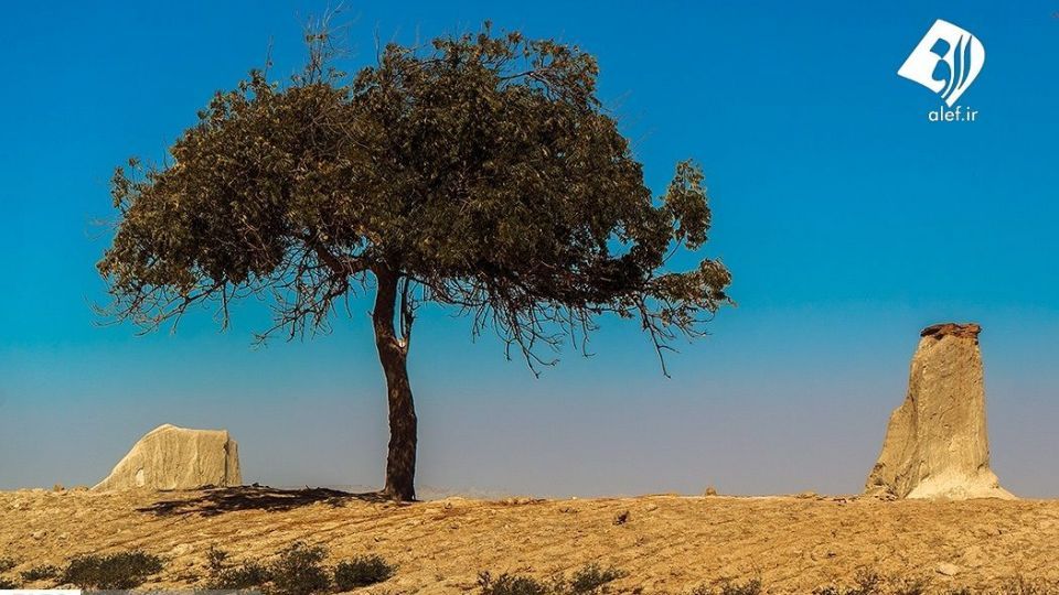 سواحل زیبای مَکْران سواحل زیبای مَکْران