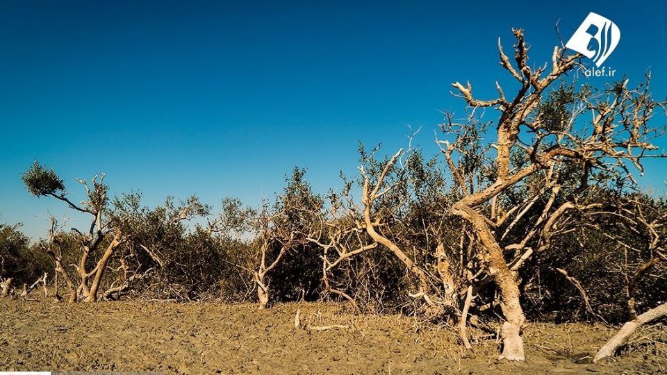 سواحل زیبای مَکْران سواحل زیبای مَکْران