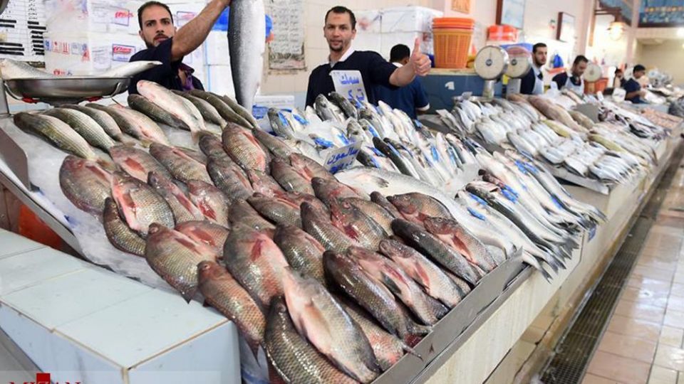  بازار ماهی کویت
