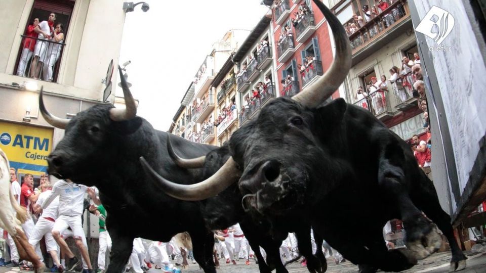 جشنواره گاو بازی در اسپانیا‎
