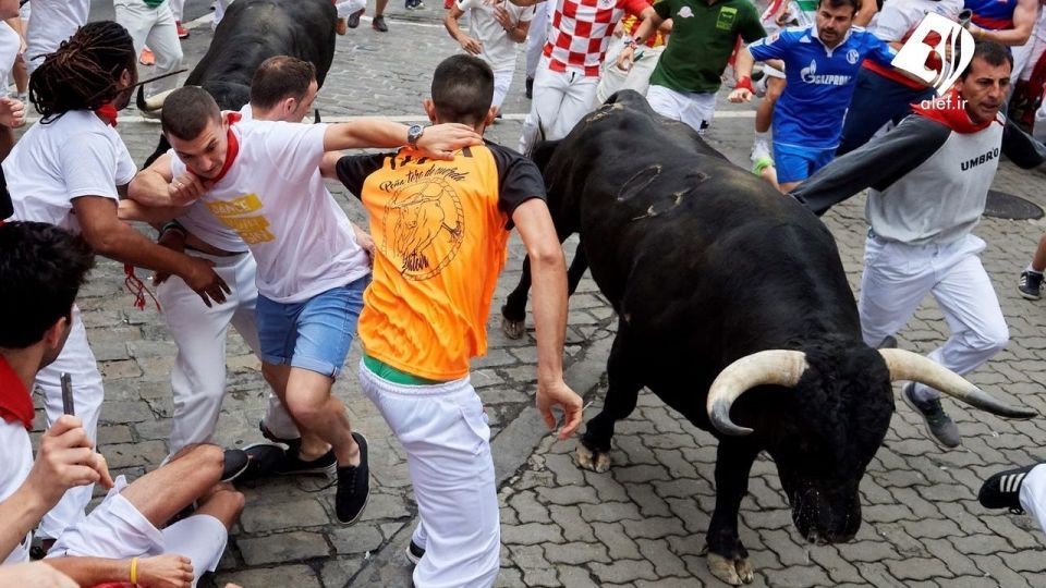 جشنواره گاو بازی در اسپانیا‎