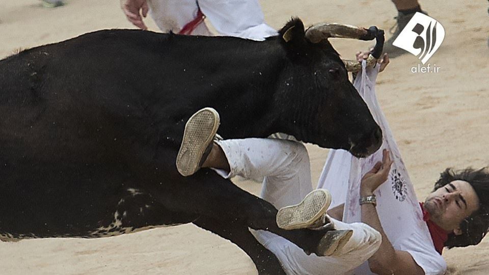 جشنواره گاو بازی در اسپانیا‎