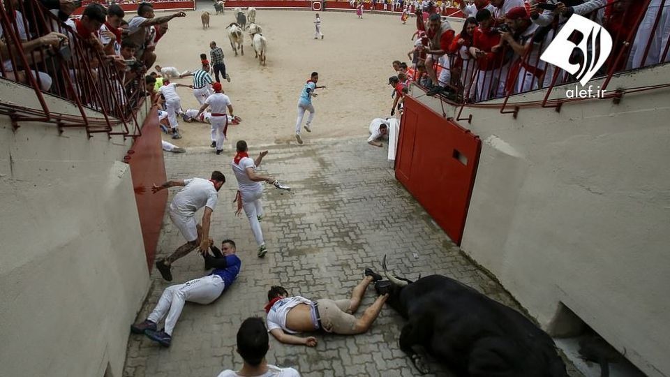 جشنواره گاو بازی در اسپانیا‎