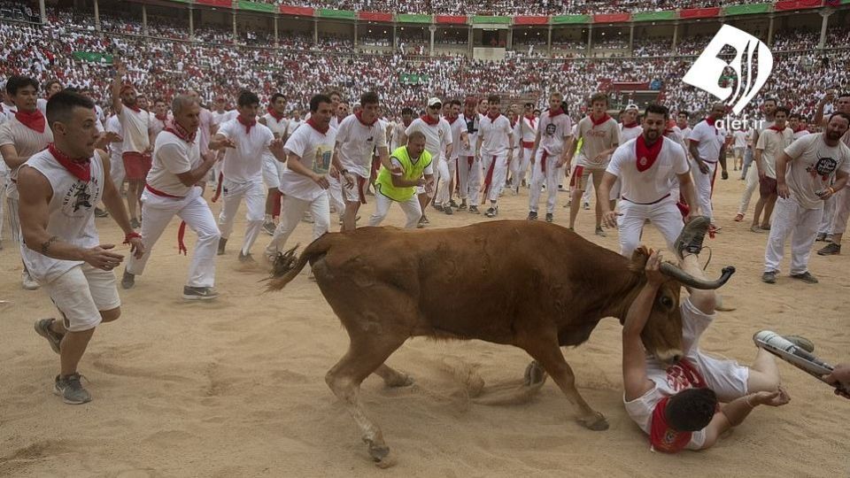 جشنواره گاو بازی در اسپانیا‎