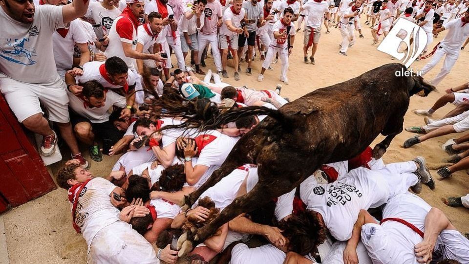 جشنواره گاو بازی در اسپانیا‎