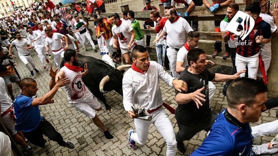 جشنواره گاو بازی در اسپانیا‎