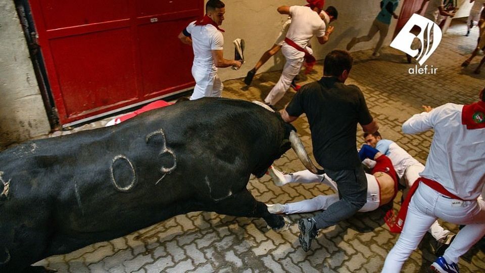 جشنواره گاو بازی در اسپانیا‎