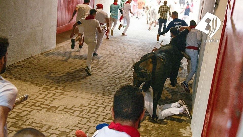 جشنواره گاو بازی در اسپانیا‎