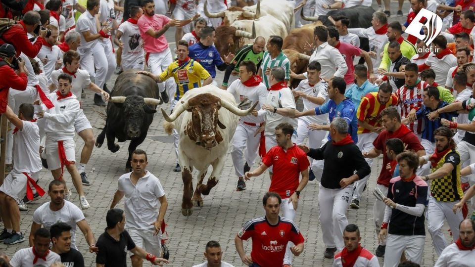جشنواره گاو بازی در اسپانیا‎