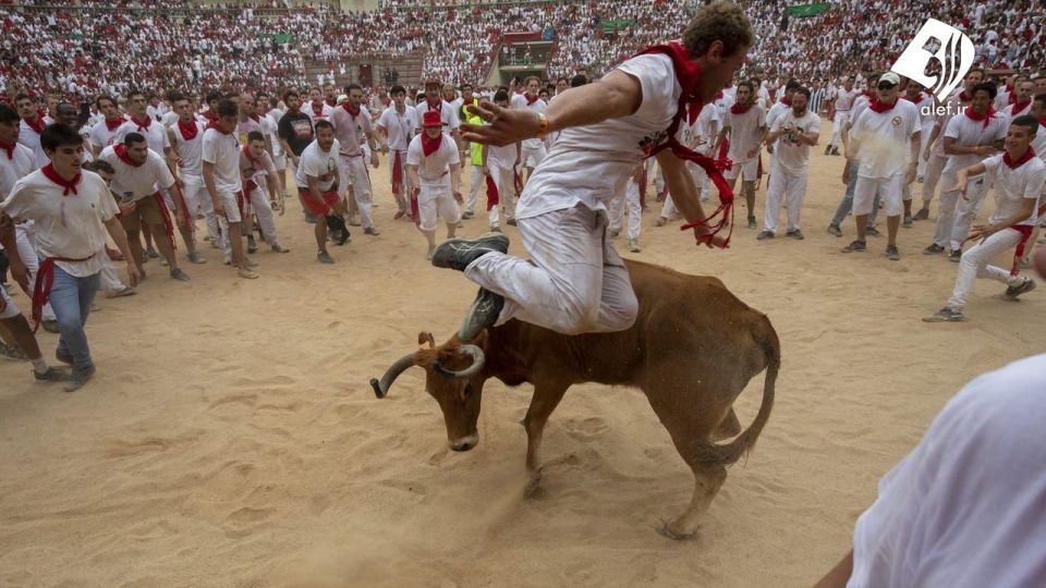 جشنواره گاو بازی در اسپانیا‎