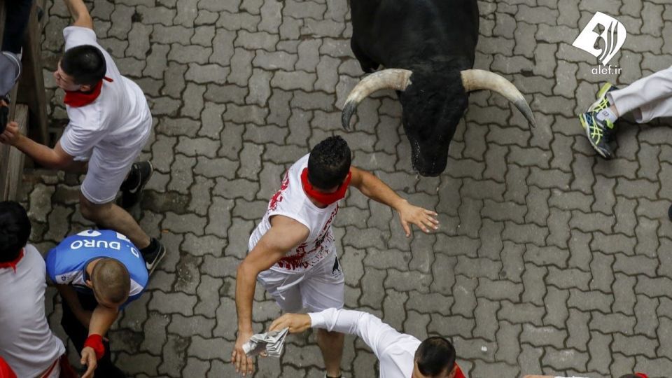 جشنواره گاو بازی در اسپانیا‎