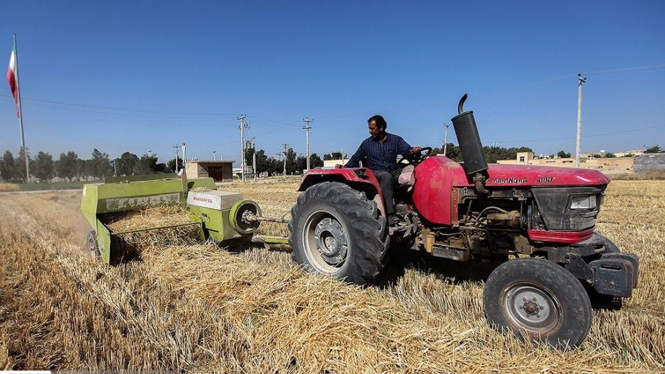 برداشت گندم از مزارع « قَهْدریجان »