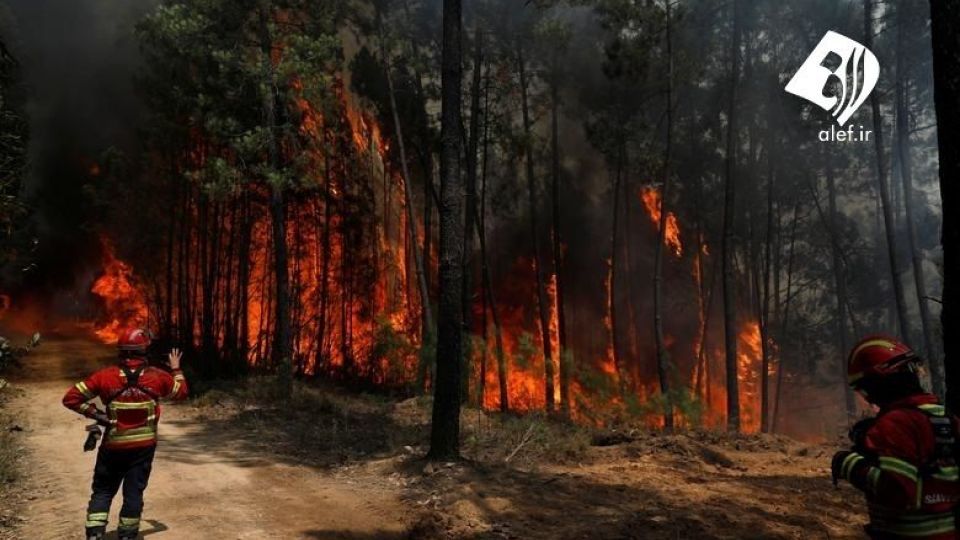 آتش سوزی گسترده در مرز پرتغال 