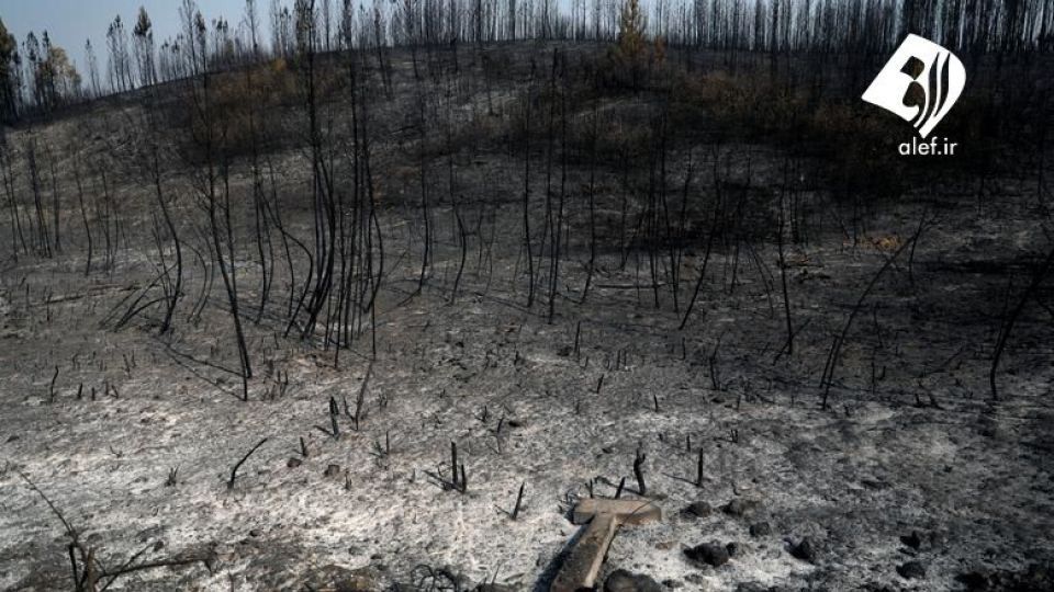 آتش سوزی گسترده در مرز پرتغال 