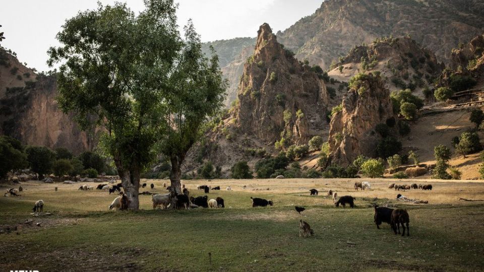 زندگی در روستاهای منطقه موگویی