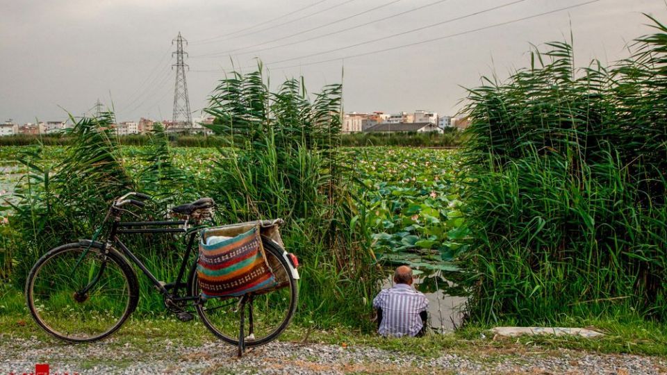 تالاب نیلوفر‌های آبی بابل