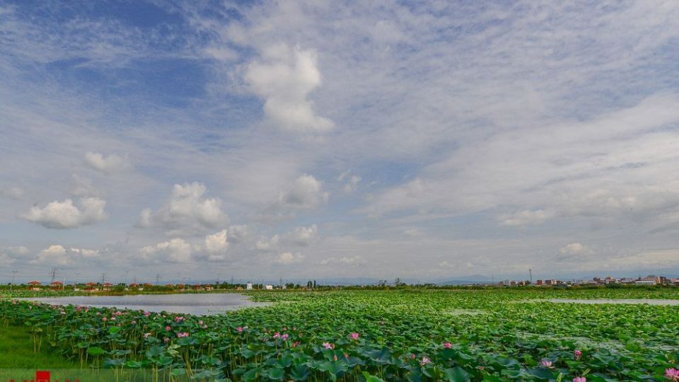 تالاب نیلوفر‌های آبی بابل