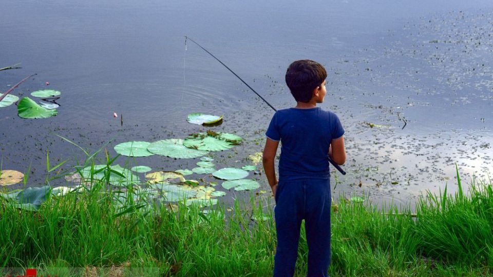 تالاب نیلوفر‌های آبی بابل