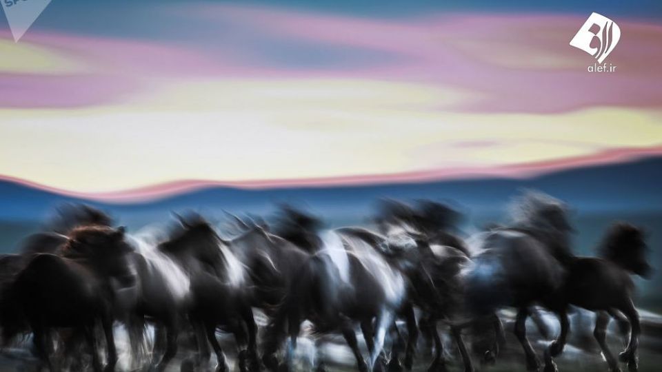 مغولستان در قاب دوربین