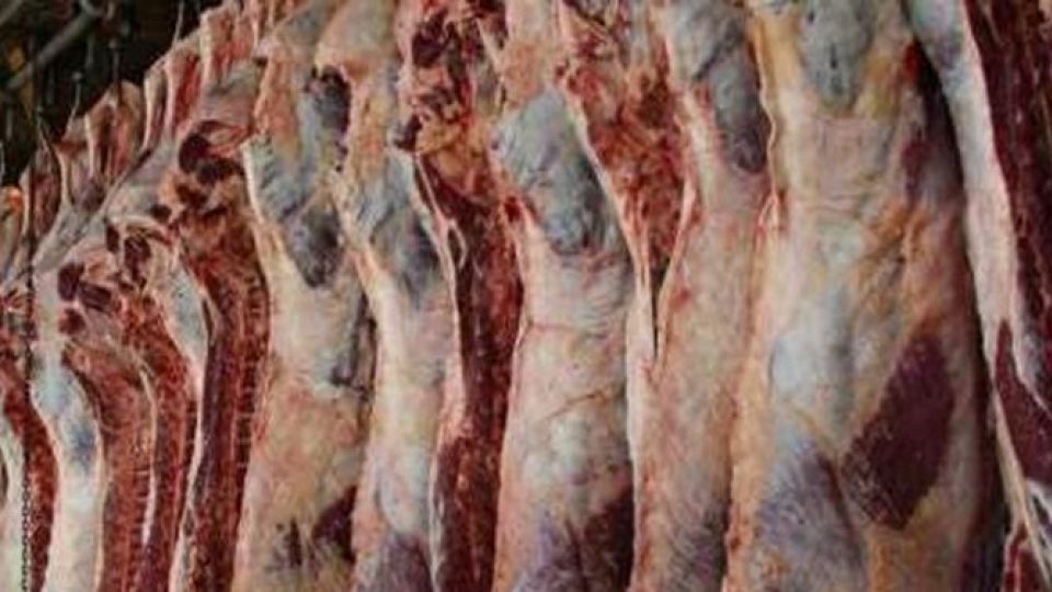 نمودار تغییرات قیمت گوشت در یک سال و نیم گذشته نمودار تغییرات قیمت گوشت در یک سال و نیم گذشته
