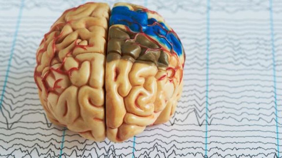 مغز حین خواب خاطرات غیرضروری را پاک میکند مغز حین خواب خاطرات غیرضروری را پاک میکند