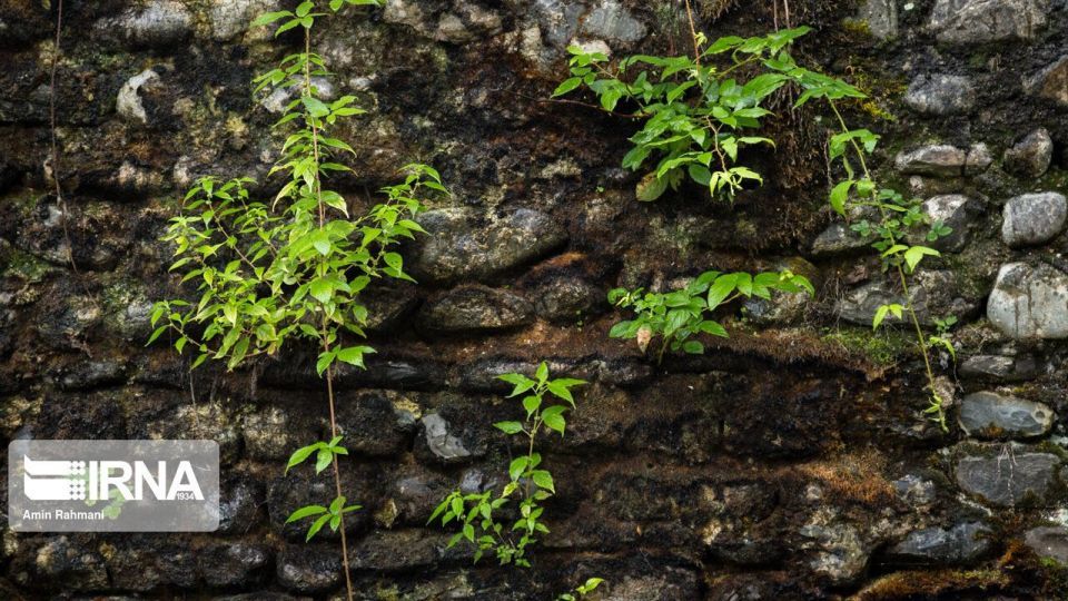 کاروانسرای سنگی تی تی کاروانسرای سنگی تی تی