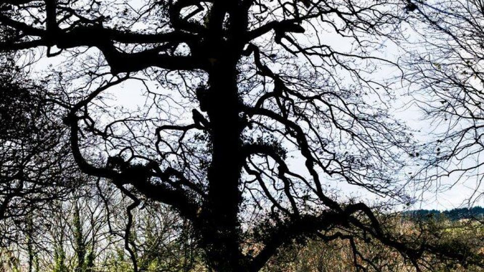 تصاویری دیدنی از حیات وحش