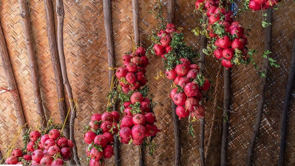 انارِ قصرالدشت