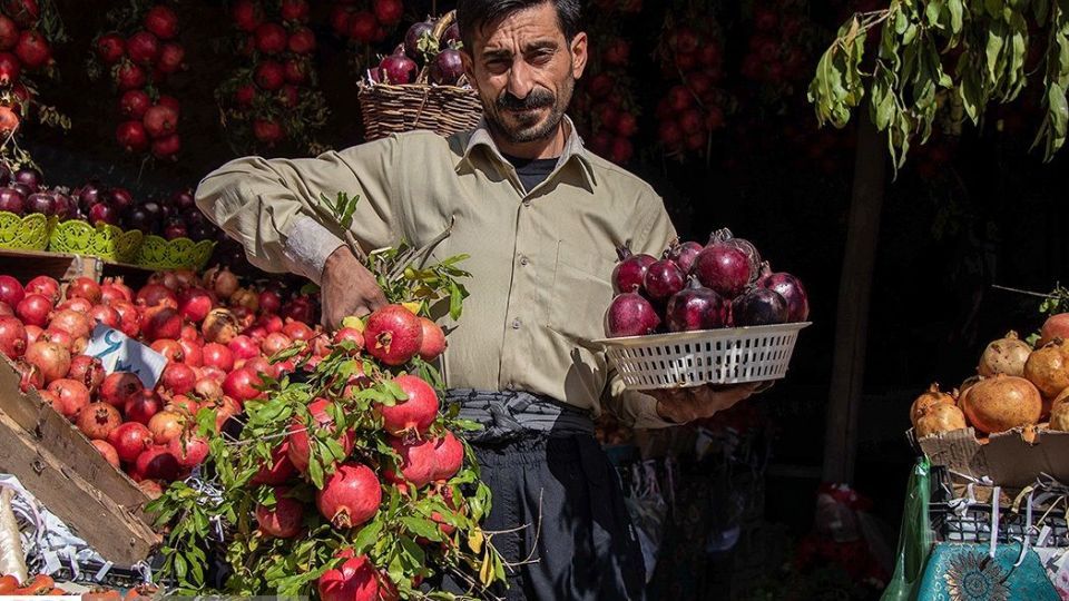 انارِ قصرالدشت