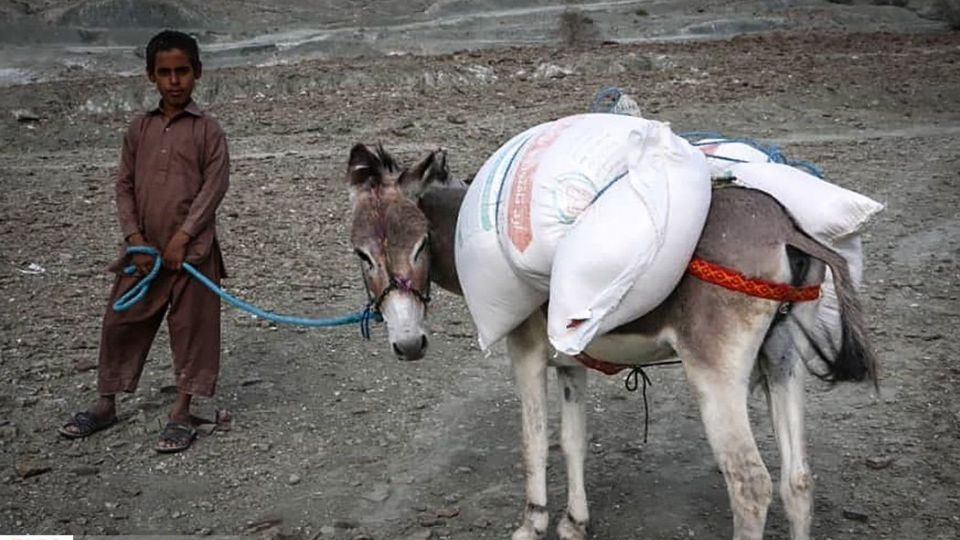 خدمت‌رسانی به مردم سیل‌زده‌ٔ گافْرْ