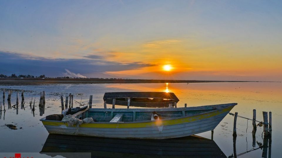 مرگ مشکوک پرندگان در تالاب میانکاله