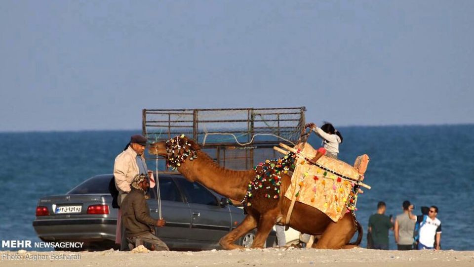 جزایر ناز، یکی از جاذبه‌های قشم