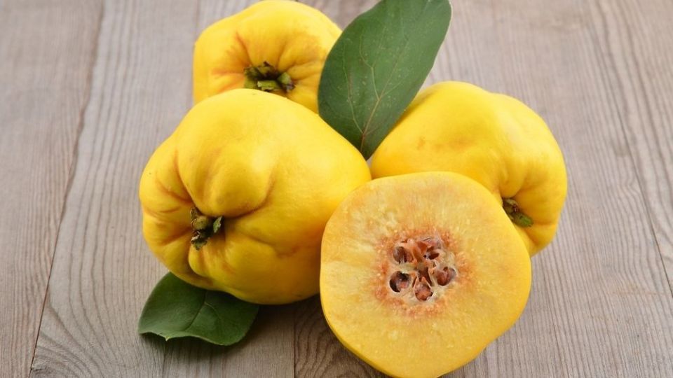 آشنایی با خواص شگفتانگیز میوه «به» آشنایی با خواص شگفتانگیز میوه «به»