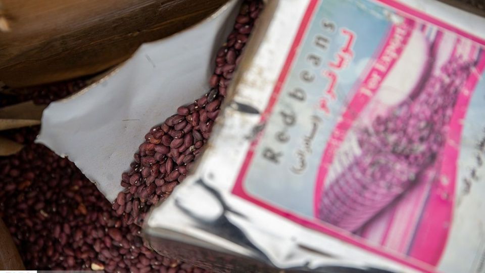 امحای ۴۰۰ تن مواد غذایی و کالای سلامت