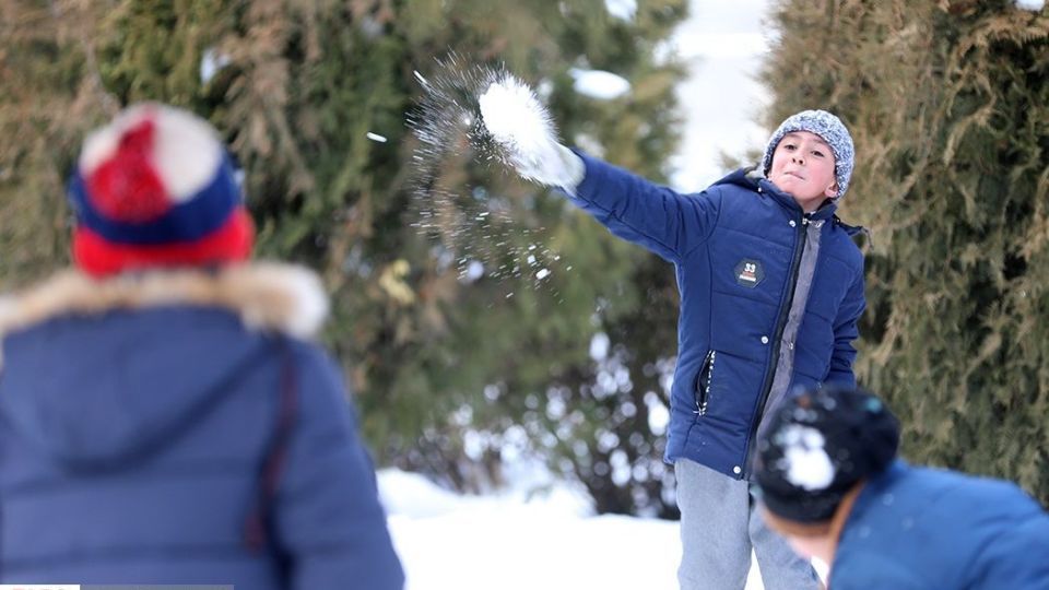 جشنواره تندیس‌های برفی در اردبیل