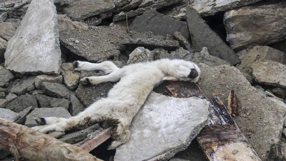 خسارت‌های زلزله در بخش قطور خوی