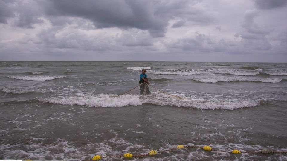 صید ماهیان استخوانی در دریای خزر